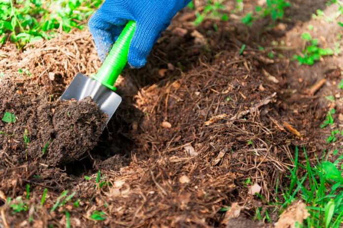 Как восстановить почву на вашем участке