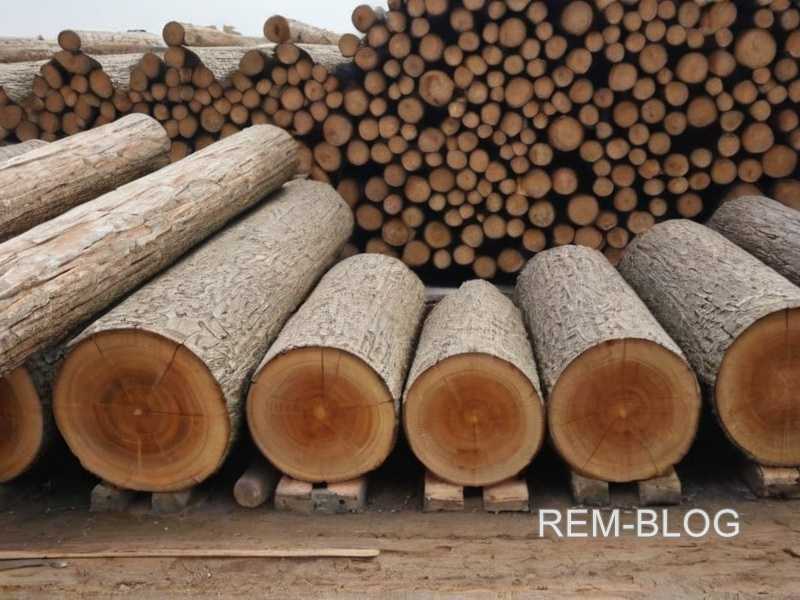 Камерная сушка пиломатериалов