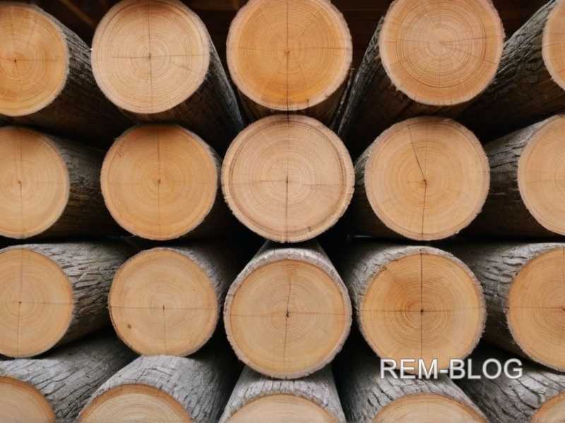 Как способ сушки влияет на пригодность древесины для отделки лакокрасочными материалами