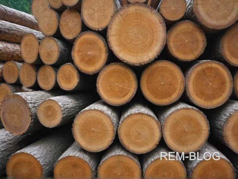 Ошибки, которых следует избегать при монтаже деревянных перегородок