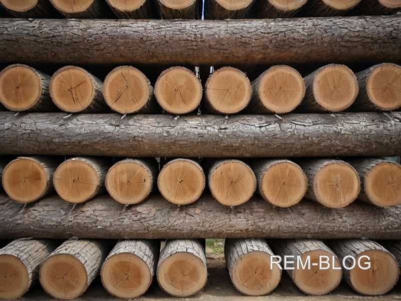Как выбрать древесину для садовых дорожек Как выбрать древесину для садовых дорожек