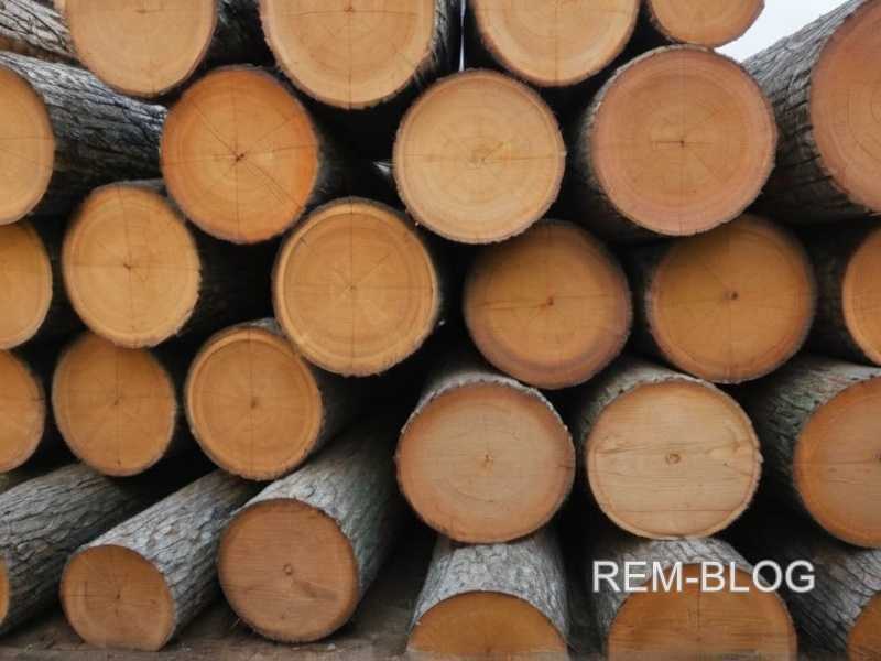 Можно ли использовать пластиковые шканты и в каких случаях