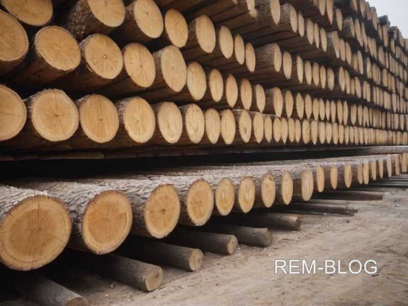 Выбор краски для деревянных окон